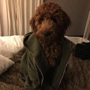 Meet your Posher, Stephen